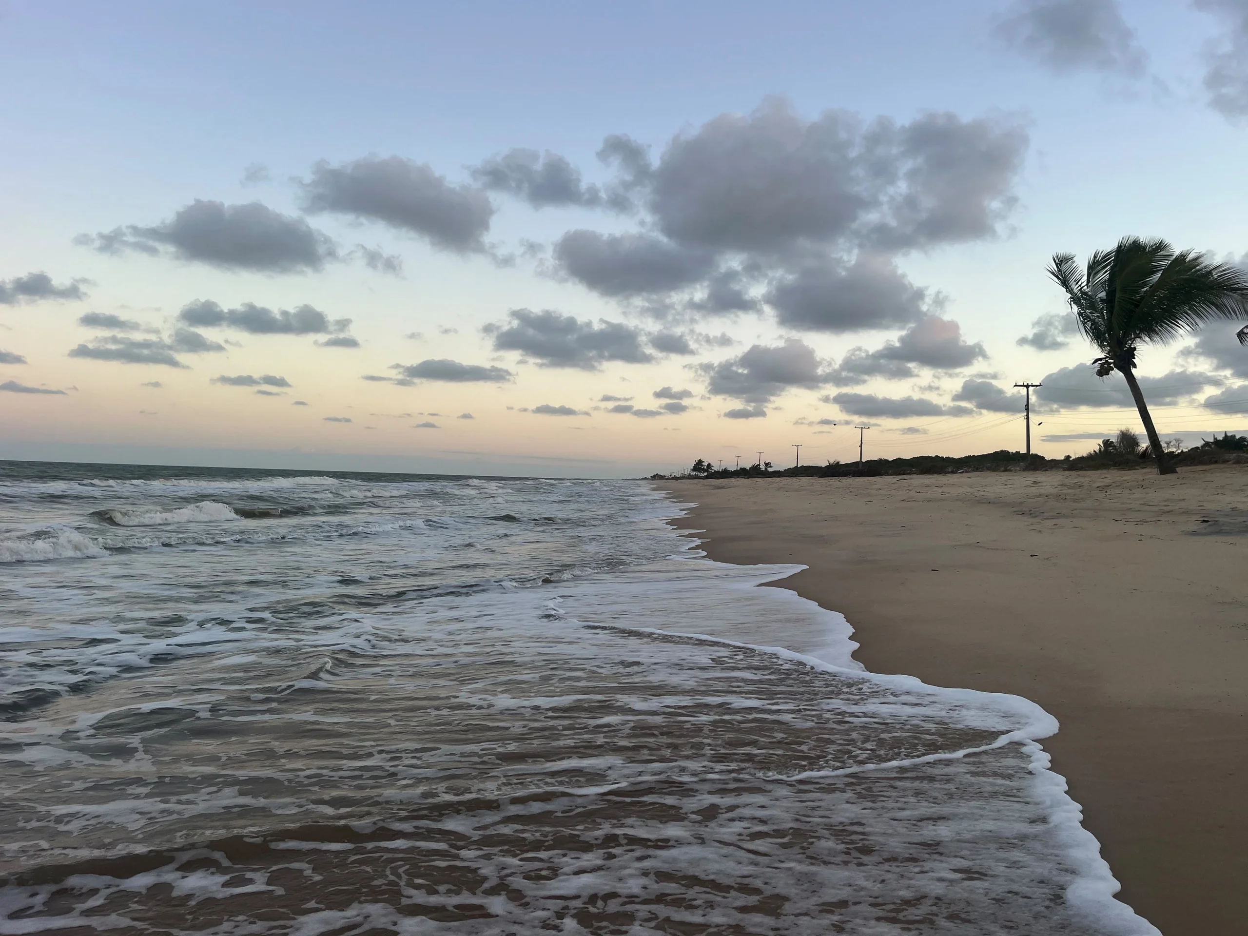O mar de Alcobaça ao entardecer, com a faixa de areia e coqueiros ao fundo