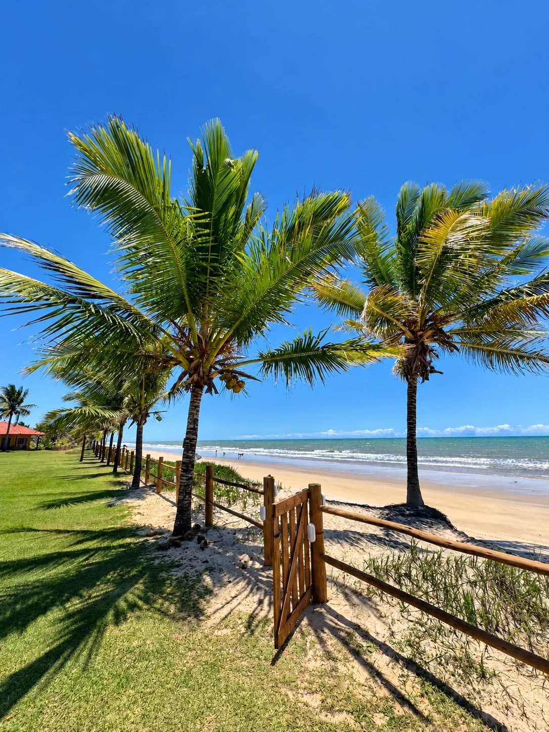 Portão de acesso à praia, com coqueiros e o mar de Alcobaça